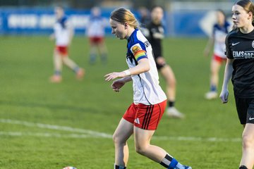 Bild 284 - wBJ Hamburger SV - Eimsbuettler TV : Ergebnis: 4:0